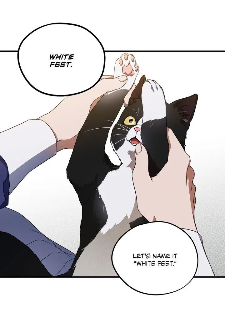 The Spark in Your Eyes Chapter 37