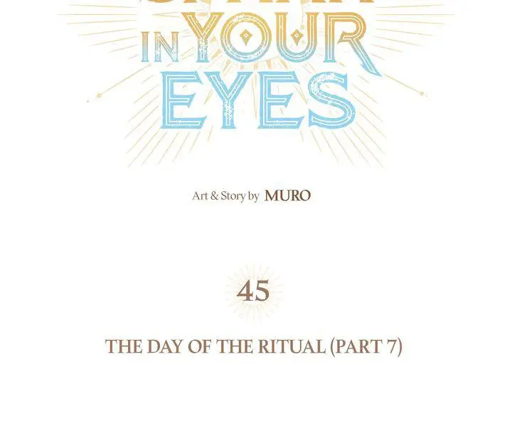 The Spark in Your Eyes Chapter 45