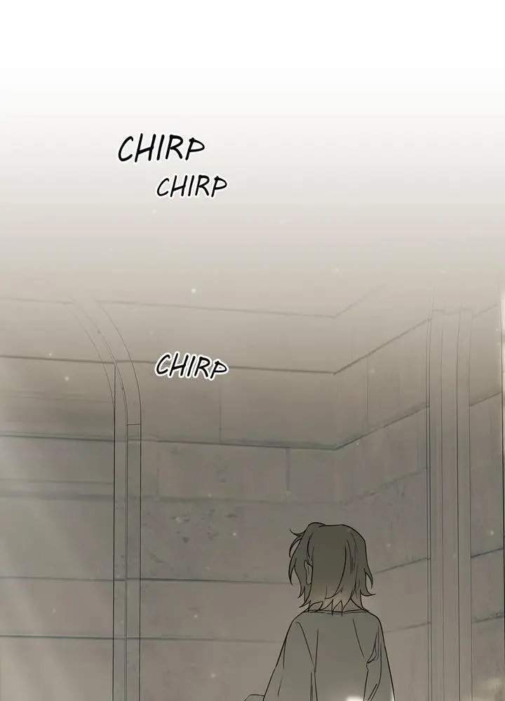 The Spark in Your Eyes Chapter 50