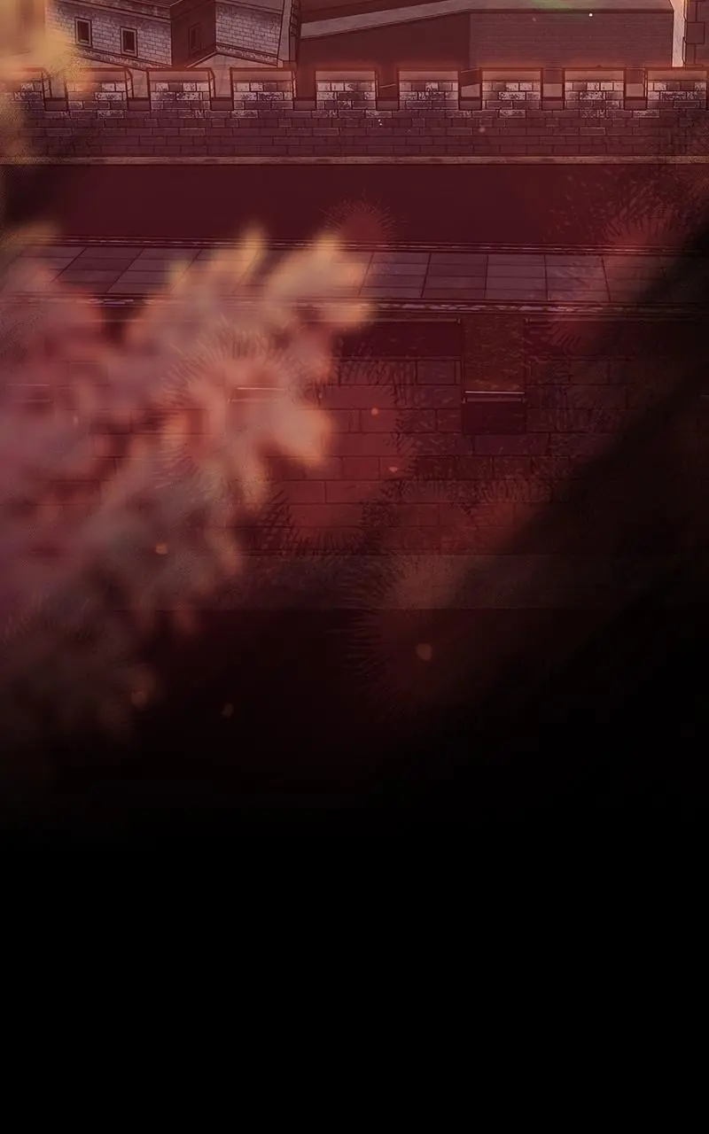 The Spark in Your Eyes Chapter 69