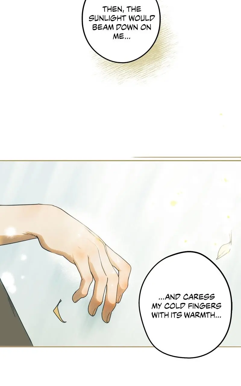 The Spark in Your Eyes Chapter 74