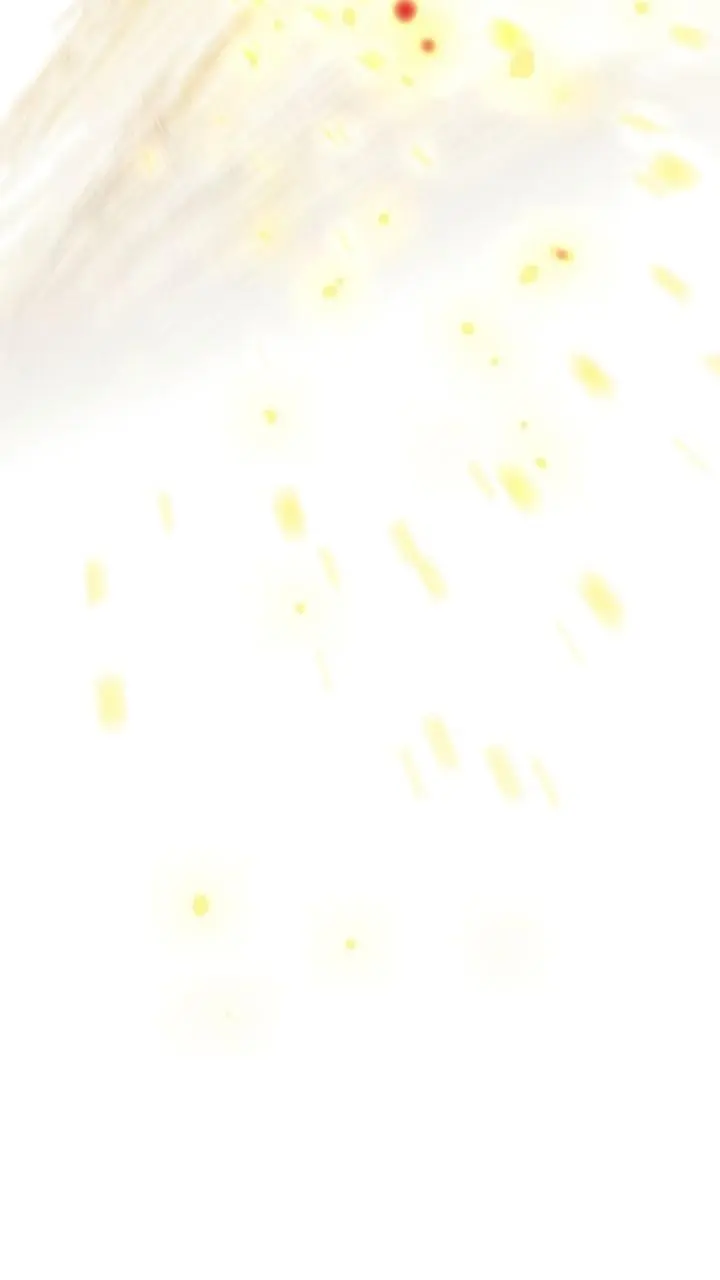 The Spark in Your Eyes Chapter 77