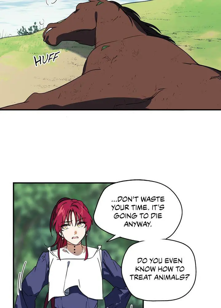 The Spark in Your Eyes Chapter 8