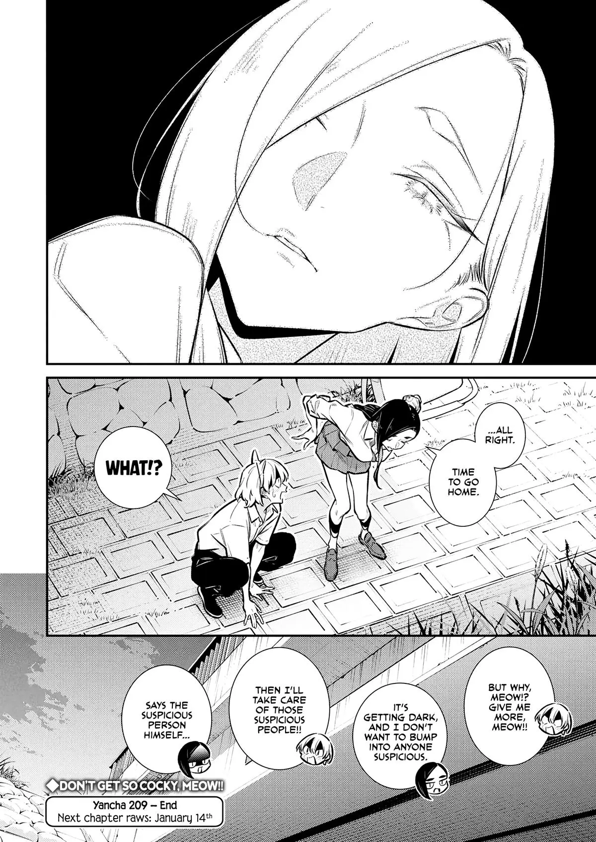 Yancha Gal No Anjou San Chapter 214 - Page 13